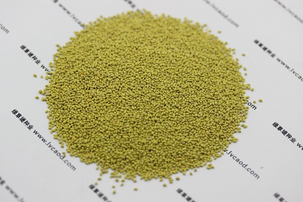 四季青草坪種子 四季青草坪種子