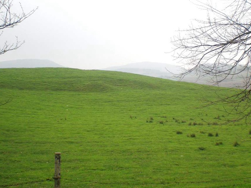 護(hù)坡黑麥草