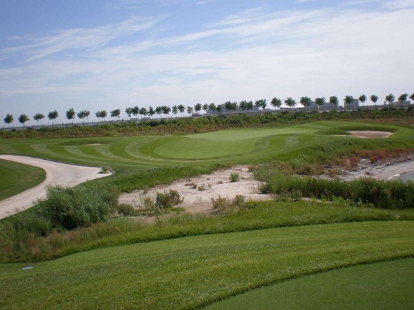 剪股穎包衣種子播種后多久發(fā)芽 剪股穎包衣種子播種后多久發(fā)芽