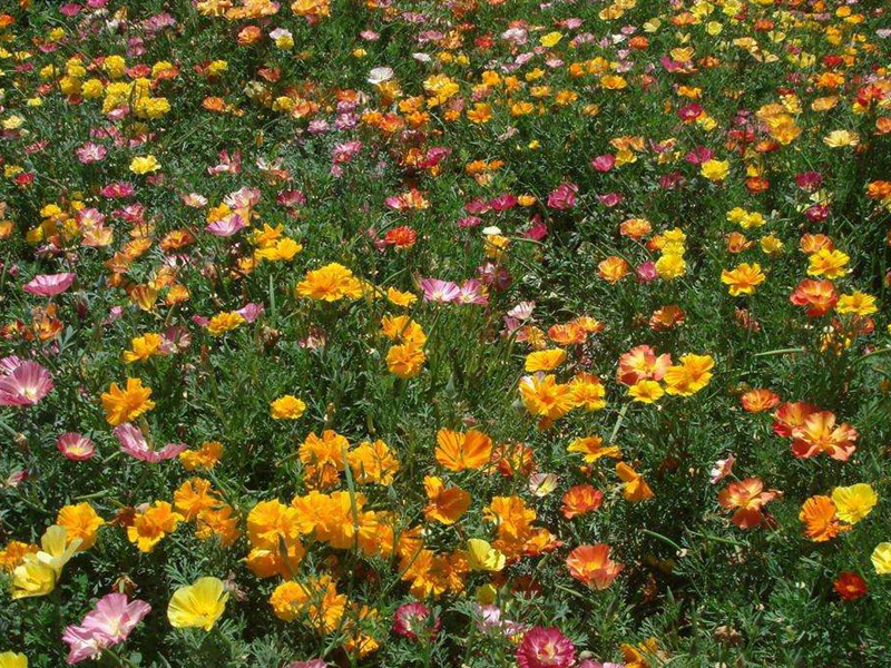 1599454959517671.jpg 7.jpg