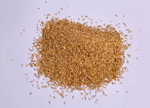 1648953870516919.jpg 2.jpg