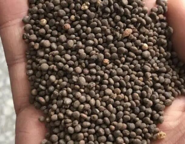 1649387714240091.jpg 6.jpg