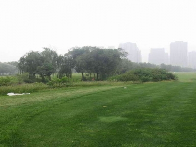 高羊茅種子播種的時間是幾月？