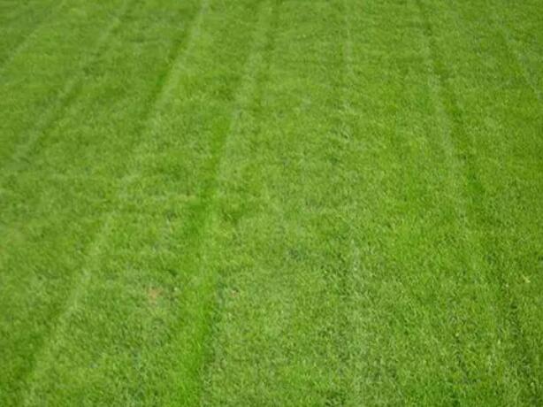 1661425995597503.jpg 0.jpg