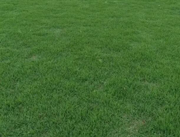 1661426008266102.jpg 0+.jpg