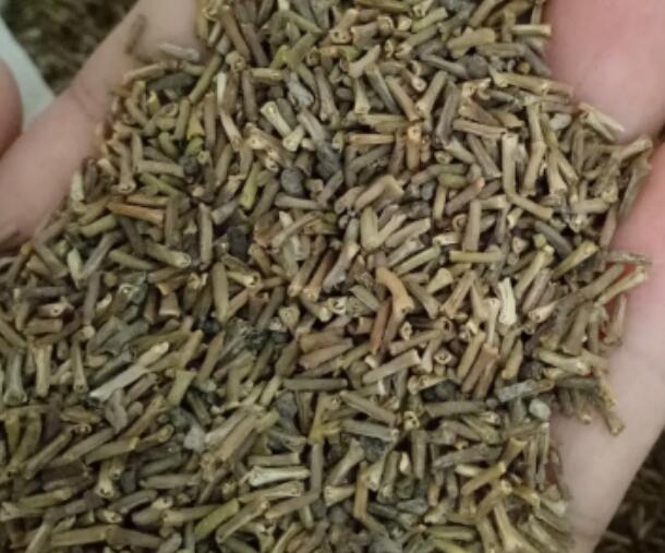 1662301175581037.jpg 4.jpg