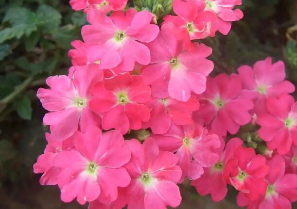 1662301190731428.jpg 4+.jpg