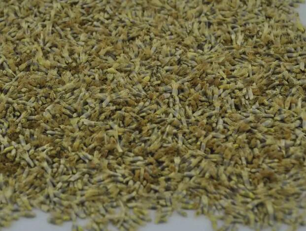 1662811757187289.jpg 1.jpg