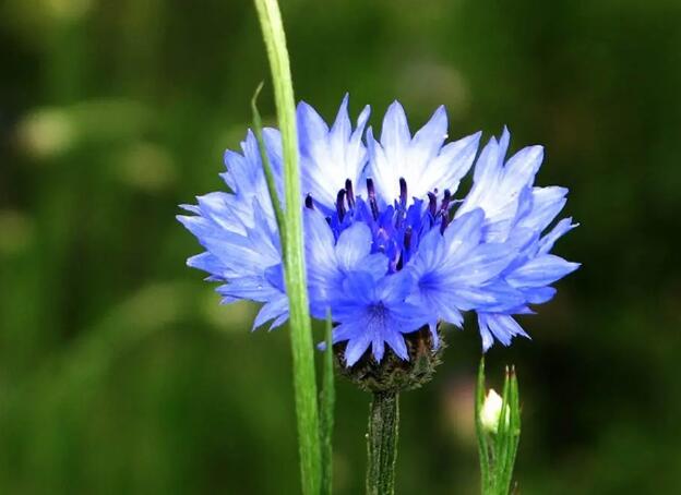 1662811780520952.jpg 1++.jpg