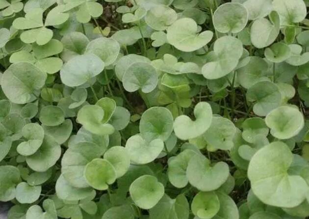 1666695569277209.jpg 6.jpg