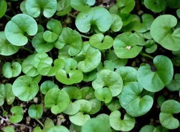 1666695580799316.jpg 6+.jpg