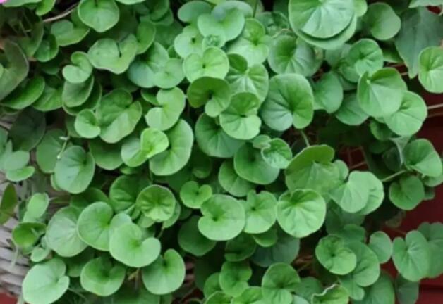 1666695589437326.jpg 6++.jpg