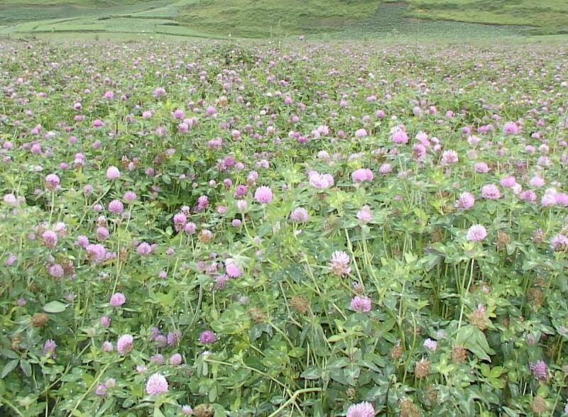 1669008883599221.jpg 1.jpg