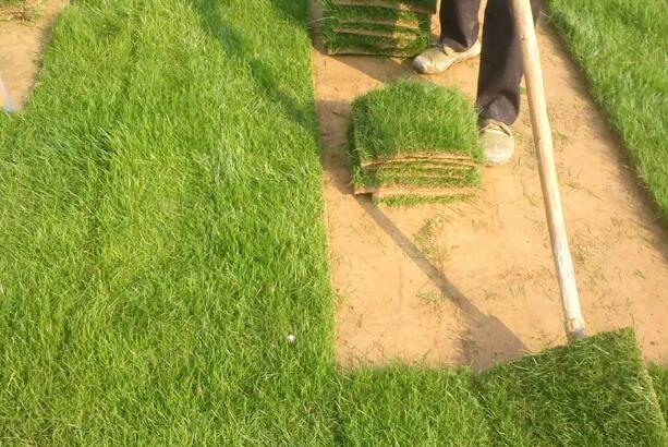 1669218419914904.jpg 5++.jpg