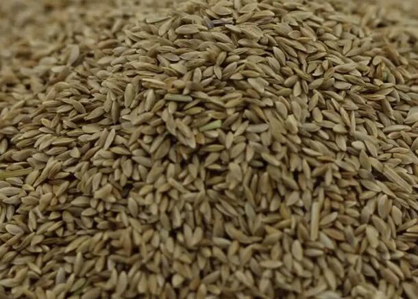 1670202662960376.jpg 7++++.jpg