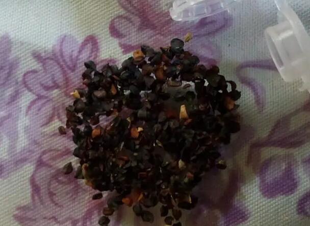 1671026972989840.jpg 6.jpg