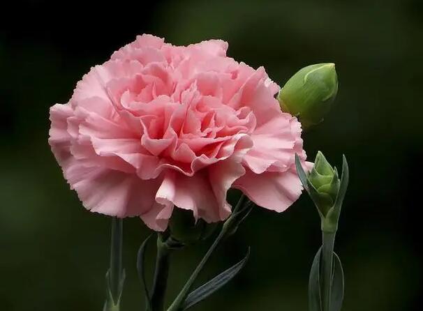 1671026992256917.jpg 6+.jpg