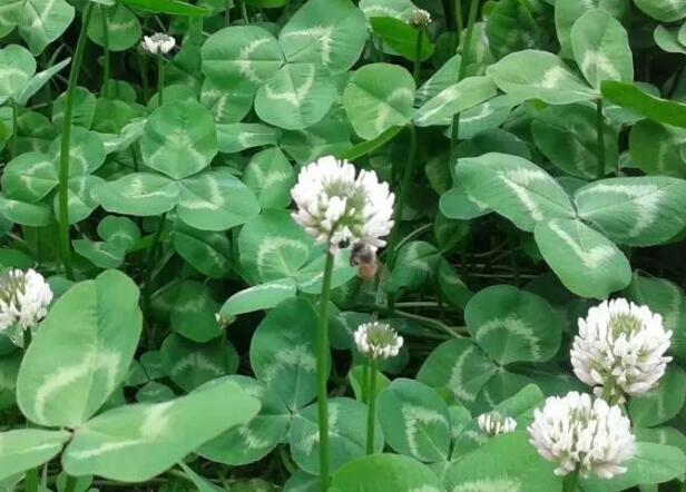 1671608157965119.jpg 000.jpg